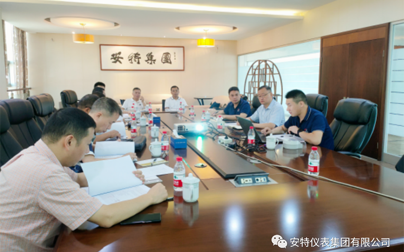安特儀表集團有限公司 安特儀表集團有限公司