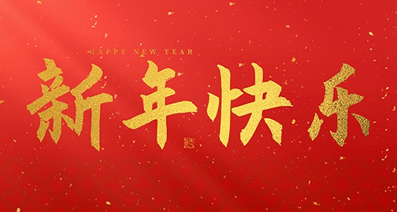 安特儀表集團有限公司祝大家2025新年快樂！